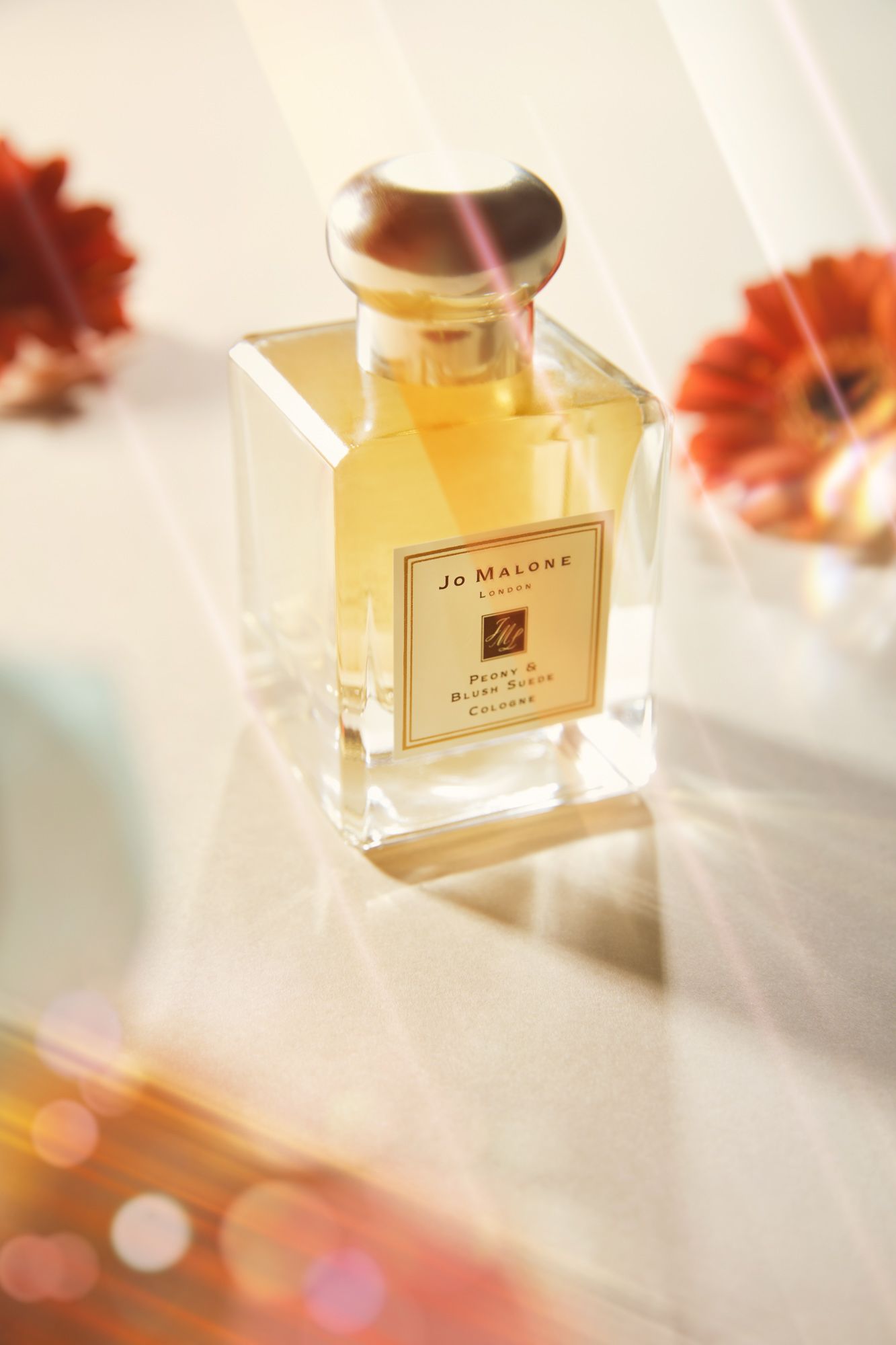 사파사진학원 이수연 졸업포트폴리오 - 광고, 라이프스타일, 컨셉춰 제품 사진