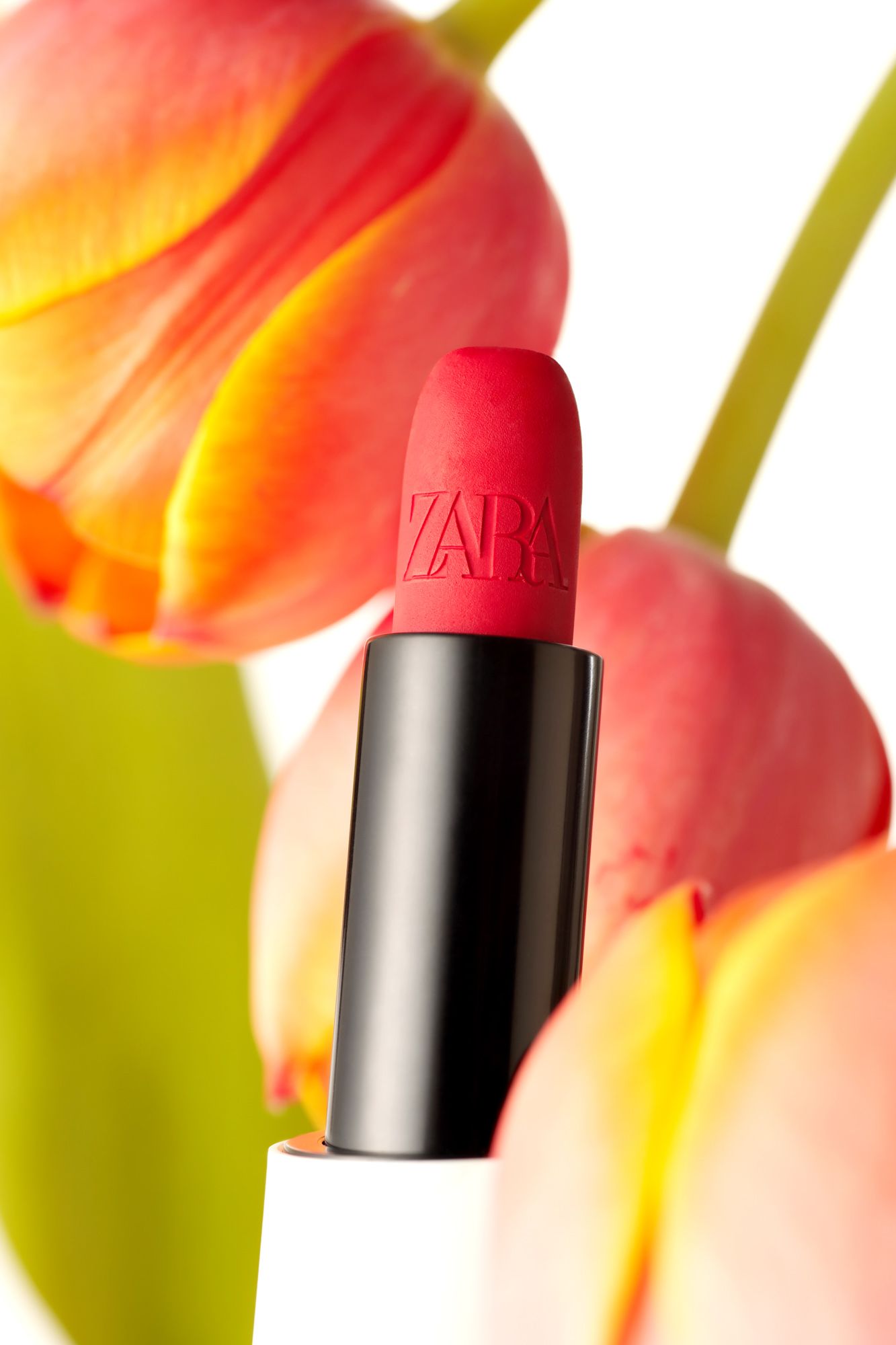 사파사진학원 최선희 졸업포트폴리오 - 광고, 뷰티, 컨셉춰 제품 사진