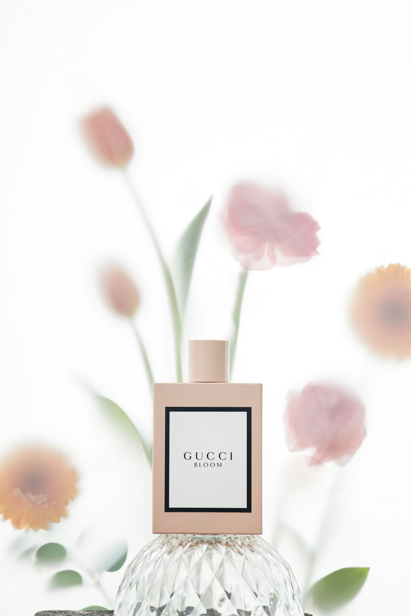 사파사진학원 양진모 졸업포트폴리오 - 광고, 라이프스타일, 컨셉춰 제품 사진