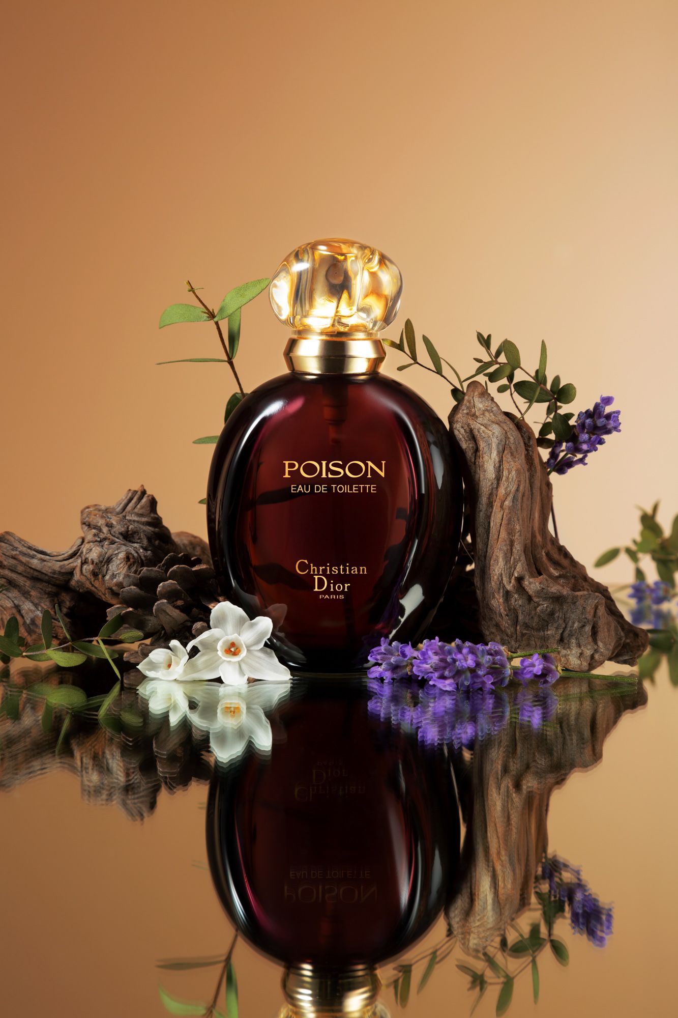 사파사진학원 조슬기 졸업포트폴리오 - 광고, 라이프스타일, 컨셉춰 제품 사진