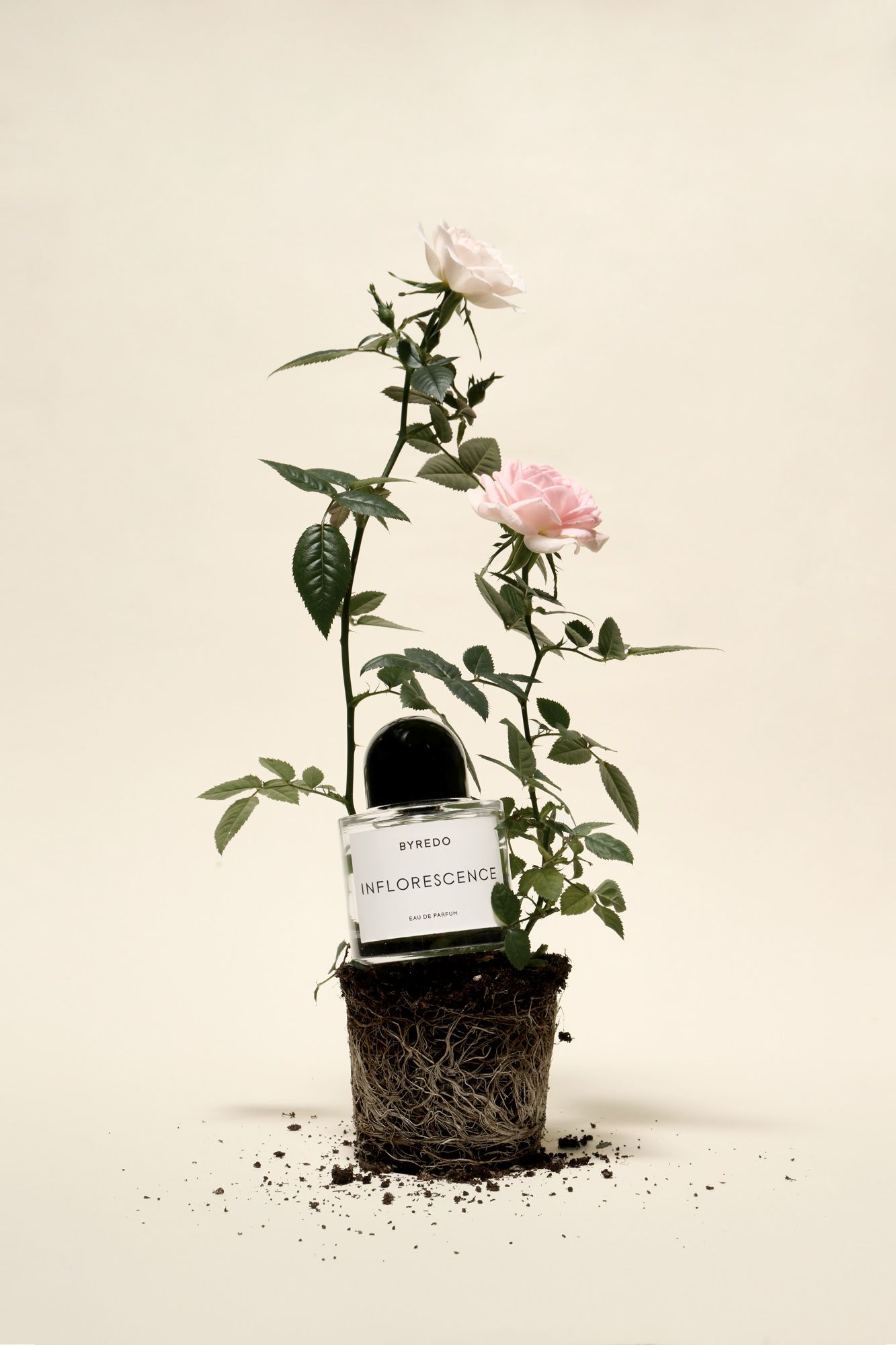 사파사진학원 문혜연 졸업포트폴리오 - 광고, 라이프스타일, 컨셉춰 제품 사진