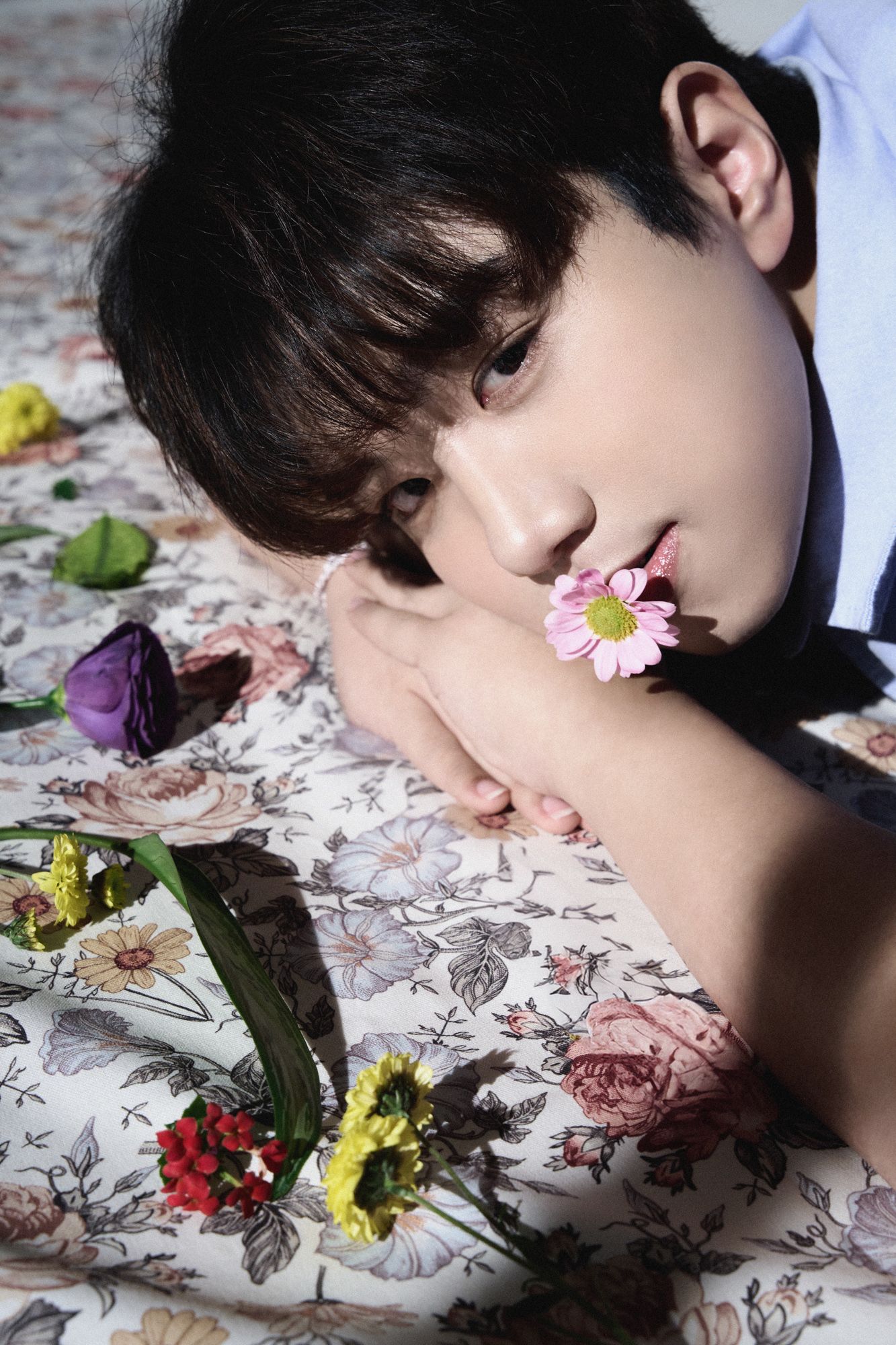 사파사진학원 주태현 졸업포트폴리오 - 프로필, 컨셉춰, 뷰티 인물 사진