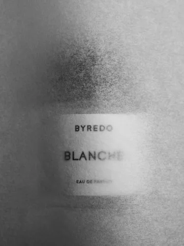 포트폴리오: 전지아