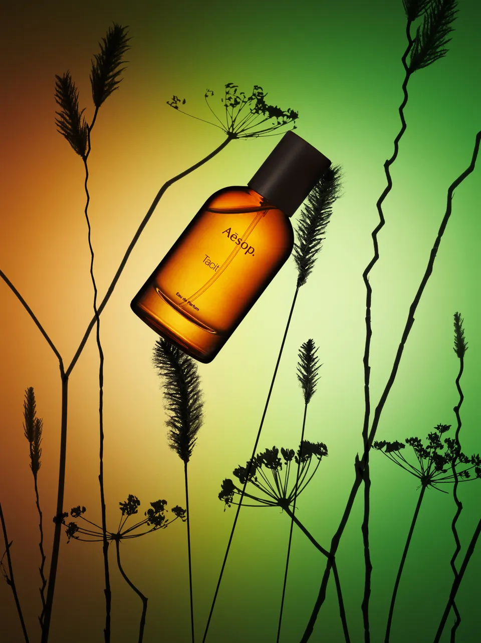 포트폴리오: 원준희