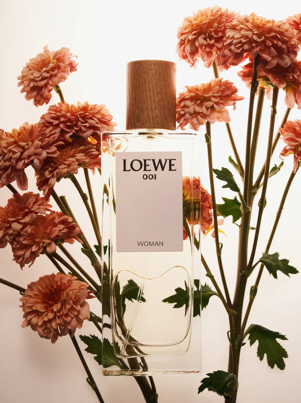 포트폴리오: 조연수